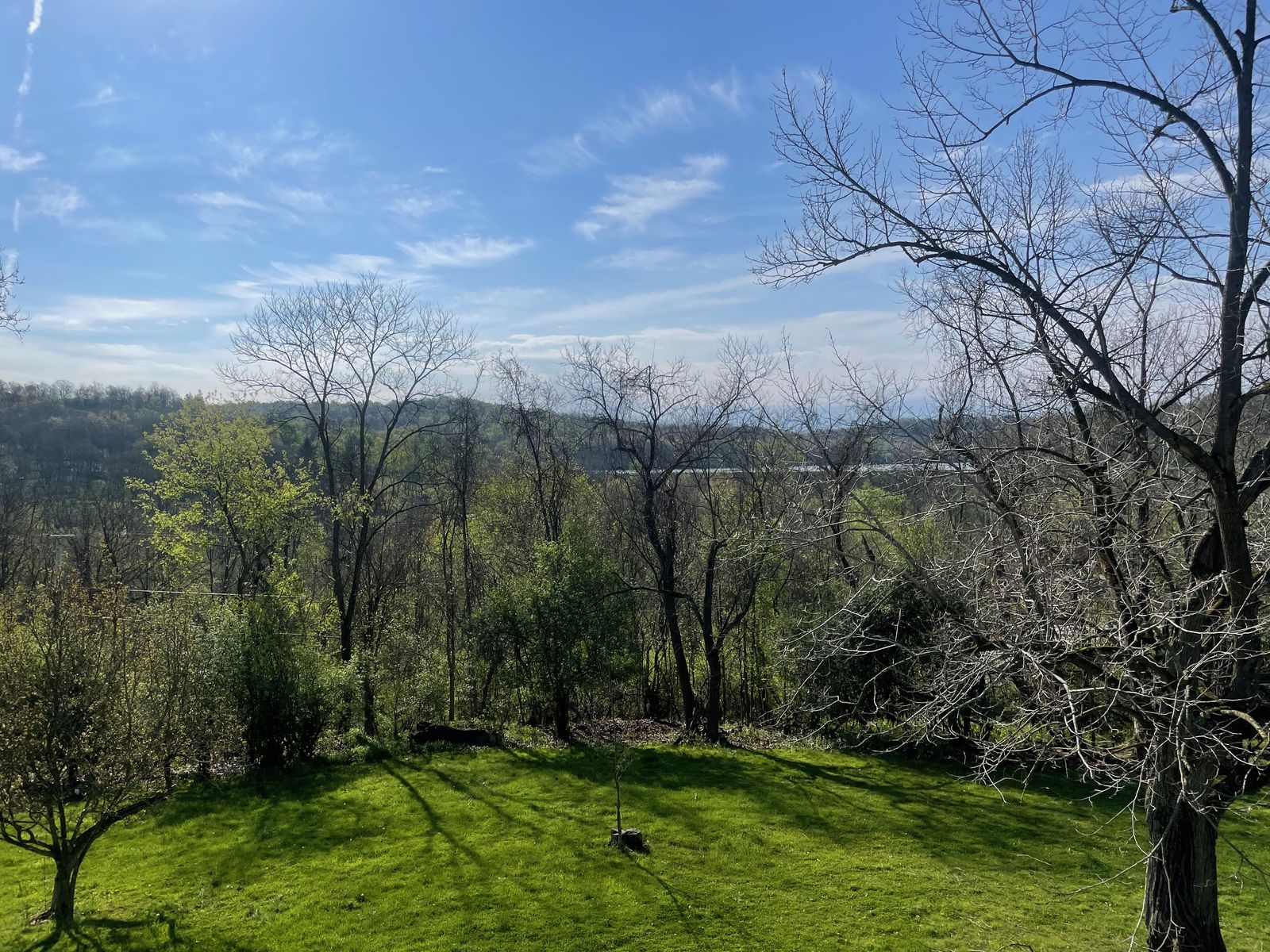 The grounds